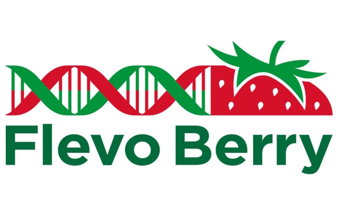 Flevo Berry: Brandguide en Communicatiestrategie